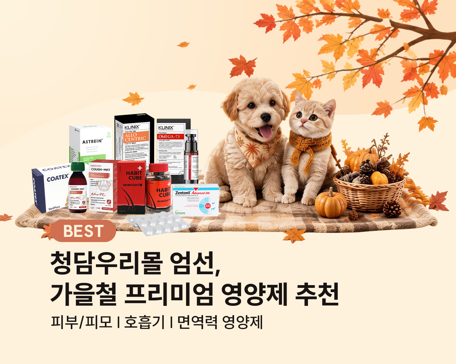 가을철 영양제