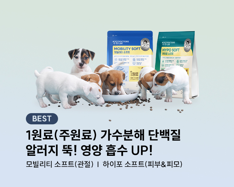 청담닥터스랩 소프트사료