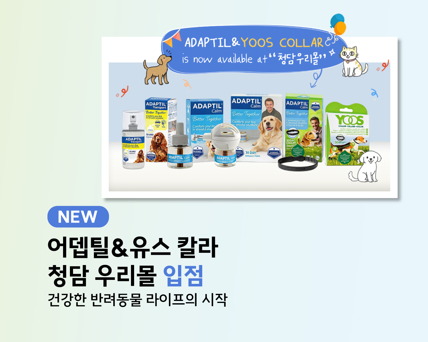 어뎁틸유스재입고