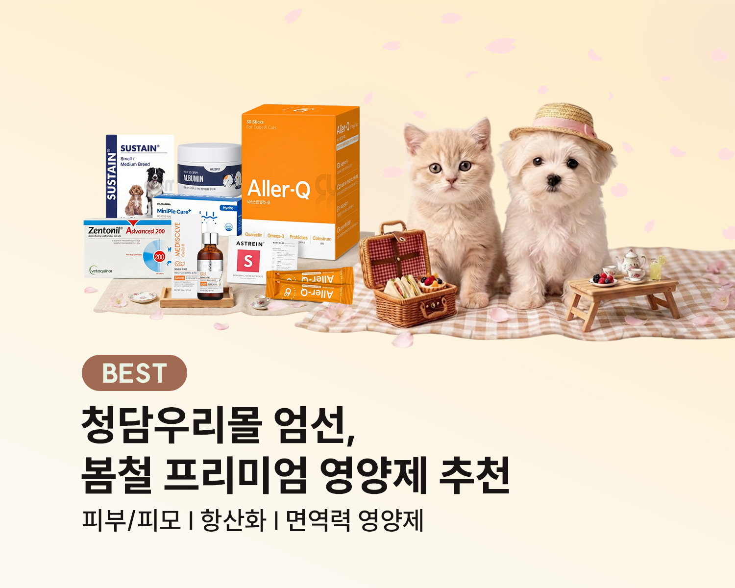 봄철 영양제