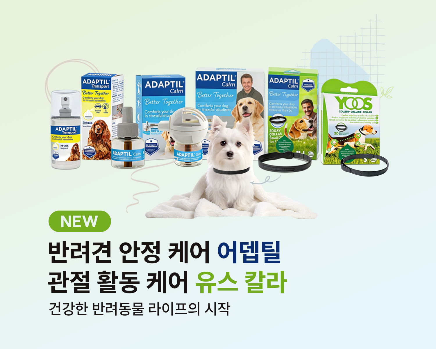 어뎁틸유스